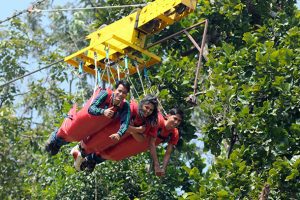 Flying Fox Activity in Rishikesh