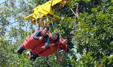 Flying Fox Activity in Rishikesh