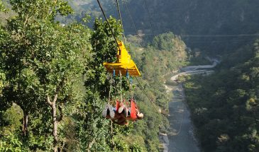 Flying Fox Activity in Rishikesh