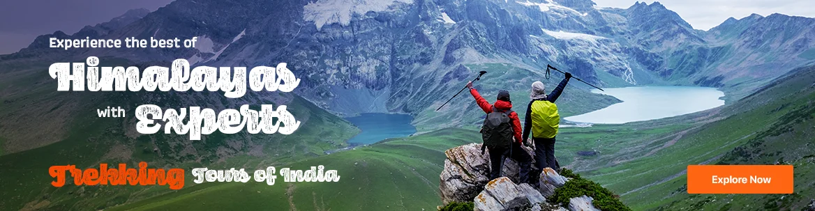 Panoramic Views of the Majestic Himalayas