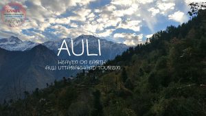 Accommodation in Auli 