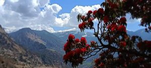 Chopta trek