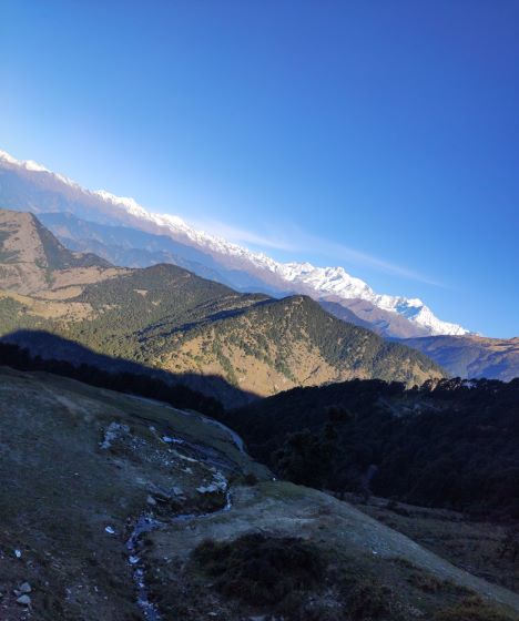 Accommodation in Chopta