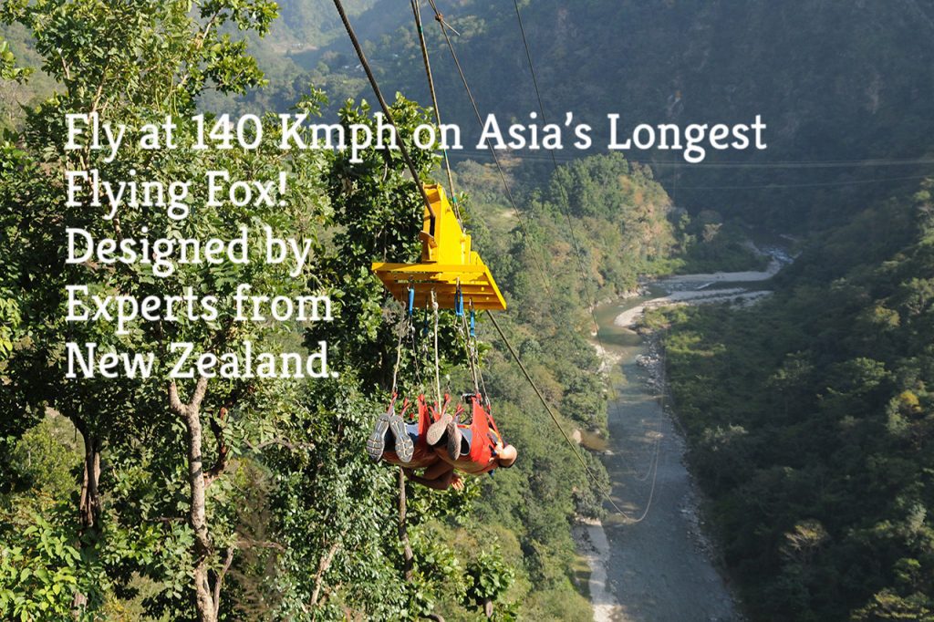 Flying Fox Activity in Rishikesh