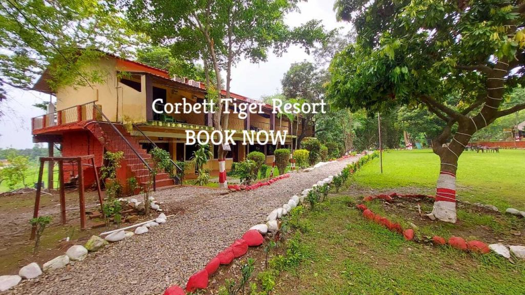 Corbett Tiger Resort