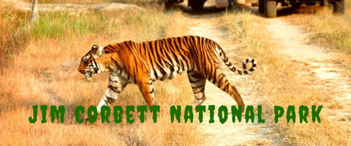 Jim Corbett National Park