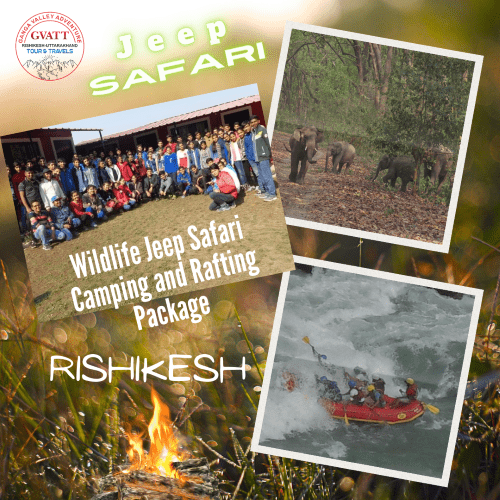 Wildlife Jeep Safari Camping and Rafting Package in Rishikesh