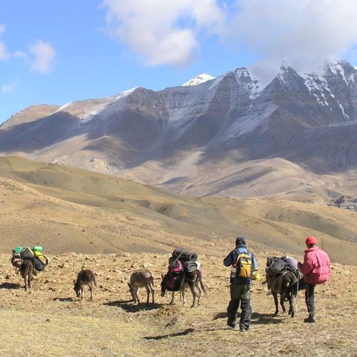 Trek in auli