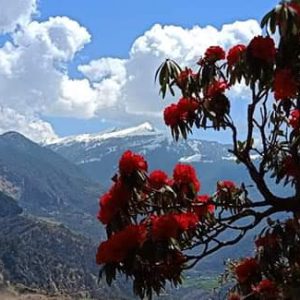 Chopta trek